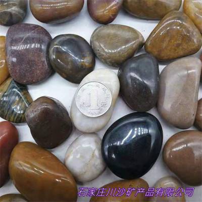 庭院鋪路與魚缸造景的絕佳選擇——川沙直銷黑色拋光雨花石